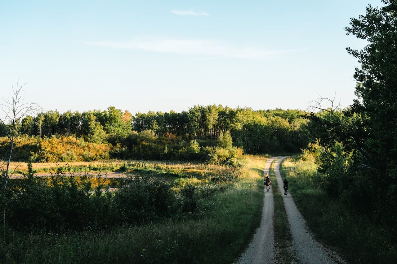 Three cyclists ride past a pond and trees.