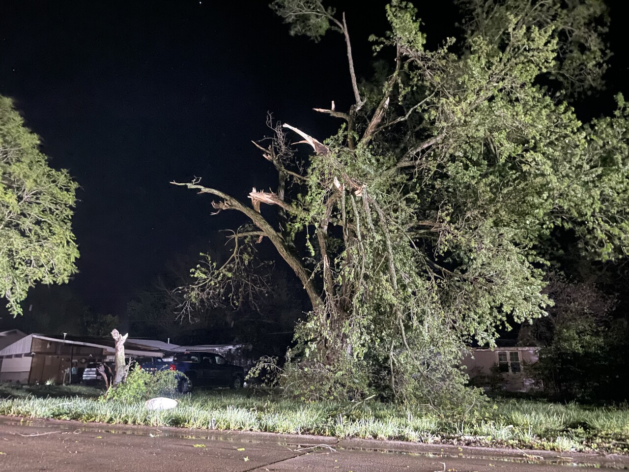 Ottawa storm damage 2