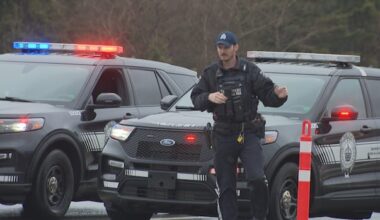 Dramatic video of crash that closed highway near Hampton emerges online