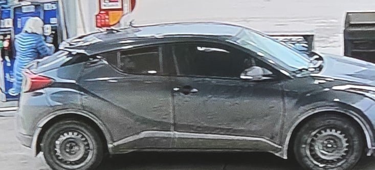 picture of woman fueling up car