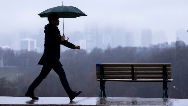 Heavy rains, thunderstorms in Toronto could lead to overflowing rivers, pools of water: Environment Canada