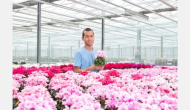 F1 genetics built to perform