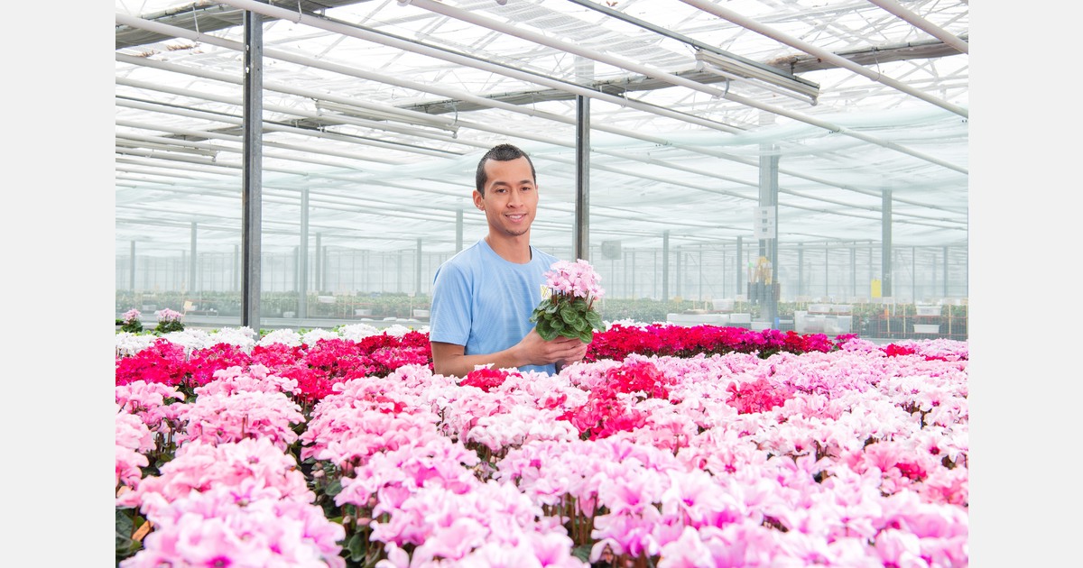 F1 genetics built to perform