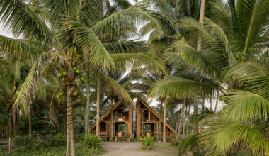 Contemporary Ecuadorian Architecture: Connecting Materials, Environment, and Culture