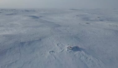 Canadian Coast Guard tests Arctic surveillance drone as air force delivery stalls
