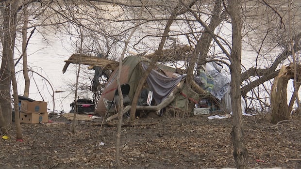 Winnipeg preparing to ramp up encampment enforcement as summer approaches