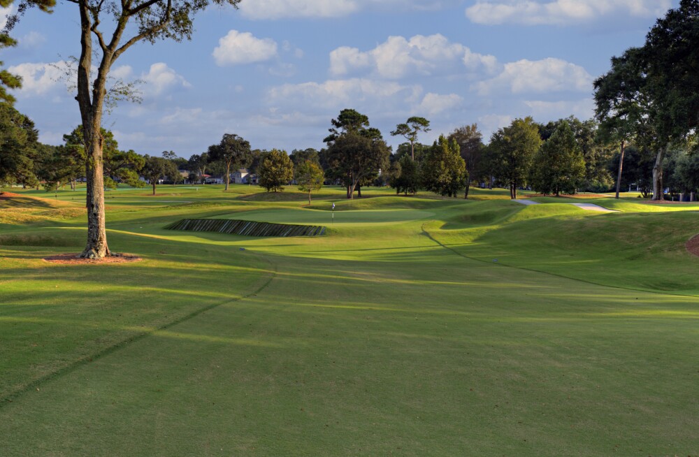 cc-landfall-dye-17.jpg