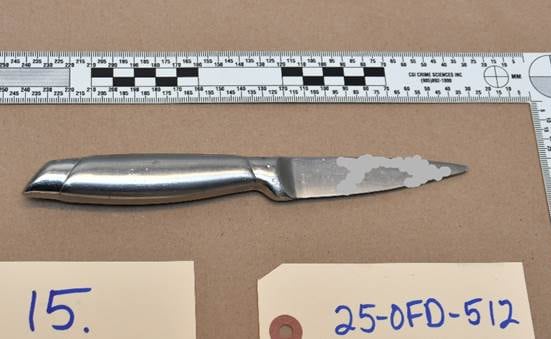 A small kitchen knife.