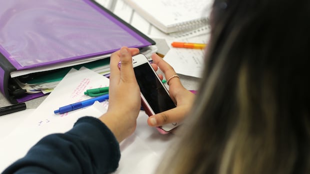 Ottawa 'very seriously' considering age restrictions for social media, AI chatbots
