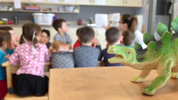 Sask. government may not accept $10-million donation for full-day kindergarten in Saskatoon