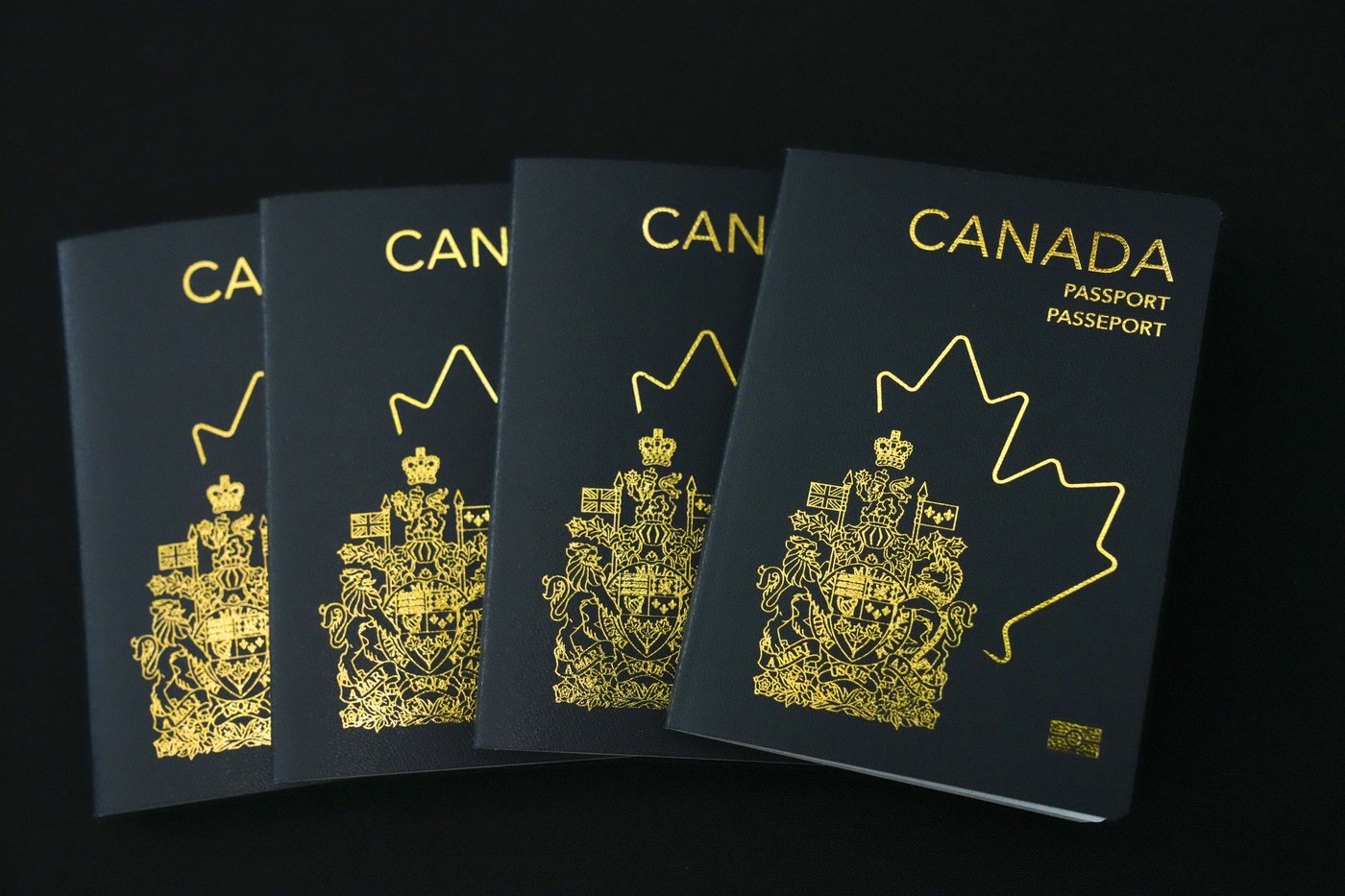U.S. leads interest by wide margin in getting Canadian citizenship by descent | NanaimoNewsNOW
