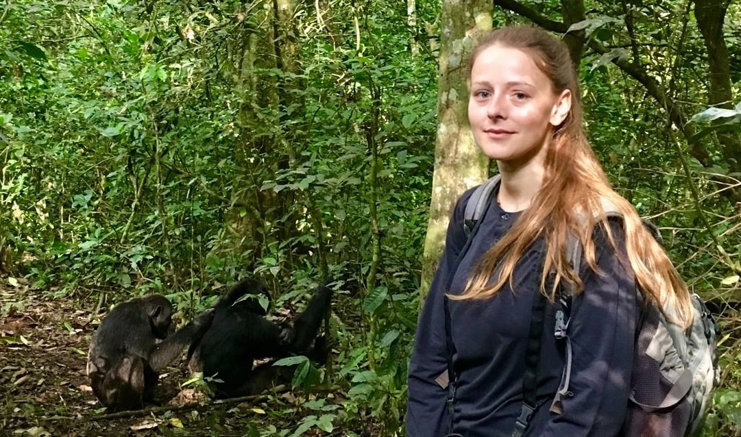 A woman stands in a forested area with chimps in the background