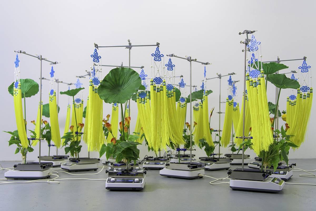 Art installation photographed in white cube room. A dozen or so small scales with assemblages of green plants and decorative tassels on top.