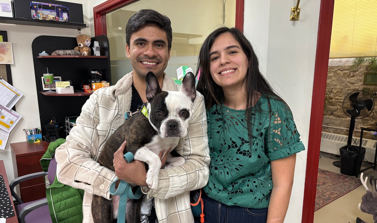 A man and a woman hold a black and white dog