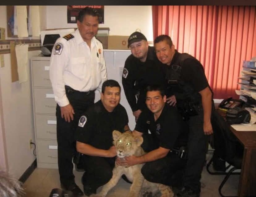 A lion cub sits with police officers in this photo from 2008.