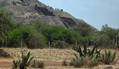 Canadian woman shot dead in Mexico, authorities say