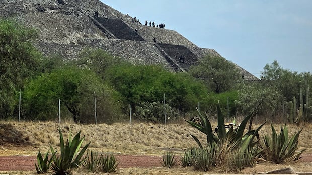 Canadian woman shot dead in Mexico, authorities say