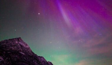 Northern Lights Forecast: Over 20 States Could See Aurora Borealis Wednesday