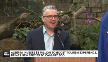 Alberta invests $8M to boost tourism experience, brings new species to Calgary Zoo