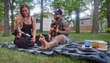 How CFL star Brady Oliveira and influencer Alex Blumberg built a life around rescuing dogs
