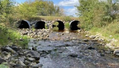 Nearby Hutterite development could leave Gimli on hook for 'millions' and risks polluting lake: mayor