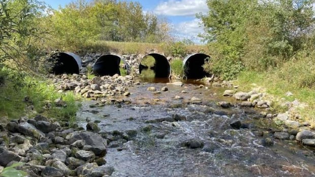 Nearby Hutterite development could leave Gimli on hook for 'millions' and risks polluting lake: mayor