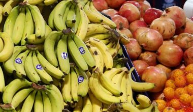 Tweak to food strategy motion wins over skeptics of city-owned grocery stores