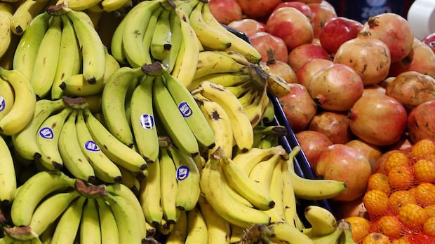 Tweak to food strategy motion wins over skeptics of city-owned grocery stores