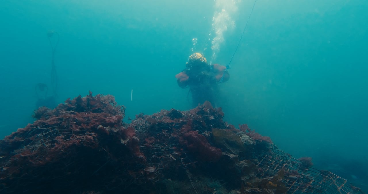 A diver is seen under water near a coral reef.