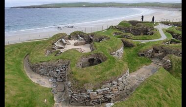 Genetic evidence suggests that human evolution accelerated with the development of agriculture