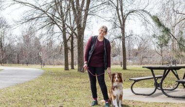 Montreal sees increase in number of dog-related incidents as city works to curb issues