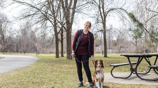 Montreal sees increase in number of dog-related incidents as city works to curb issues