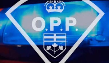 Brampton man dead following crash early Thursday morning in Bath