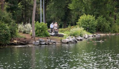 St. Vital Park duck pond to get new design before $3-M rehabilitation in 2027 – Winnipeg Free Press