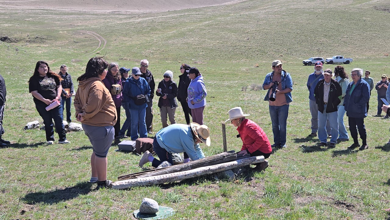 A crowd watches as burrowing owls are released into the wild.