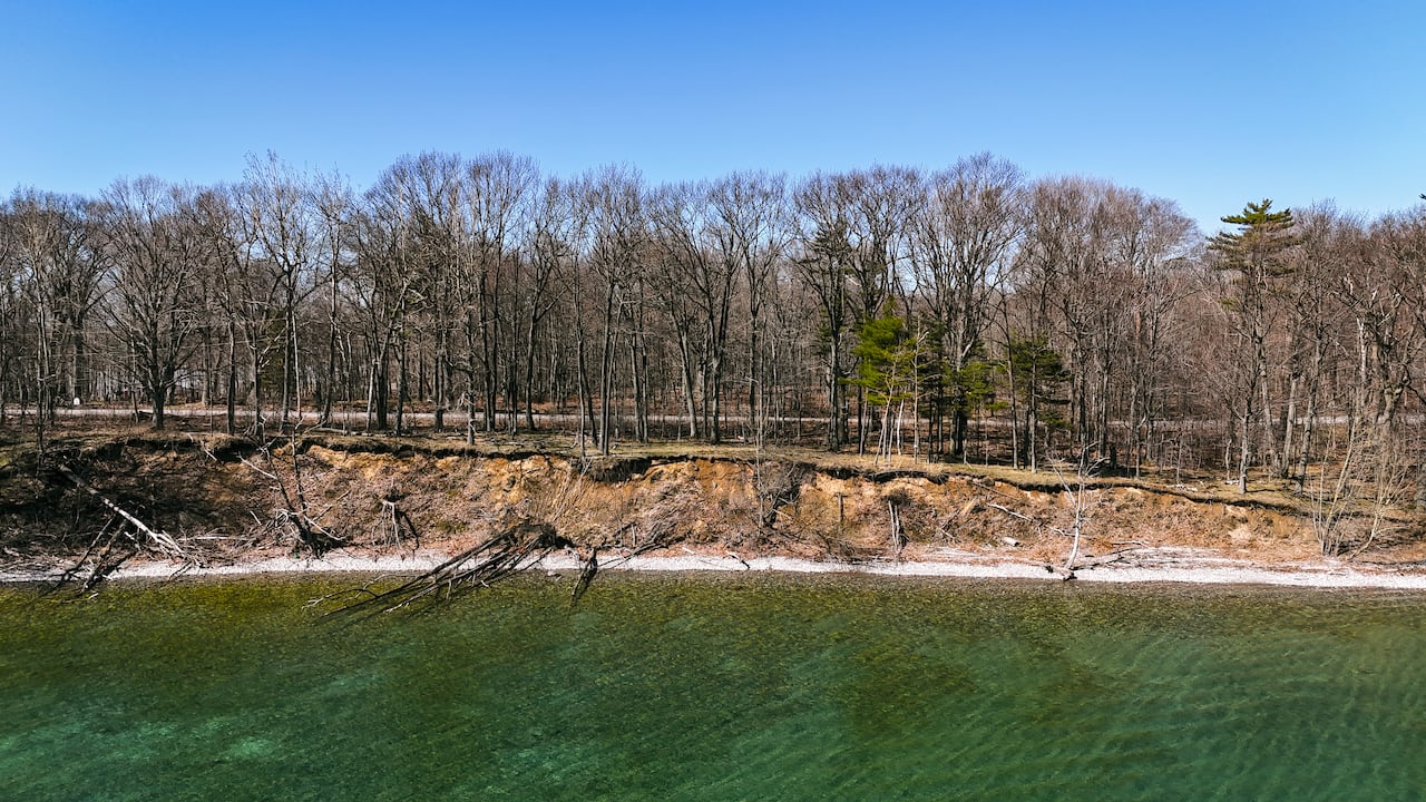 Water meets an eroded sandy shoreline lined by trees without leaves. Uprooted trees fall forward into the water.