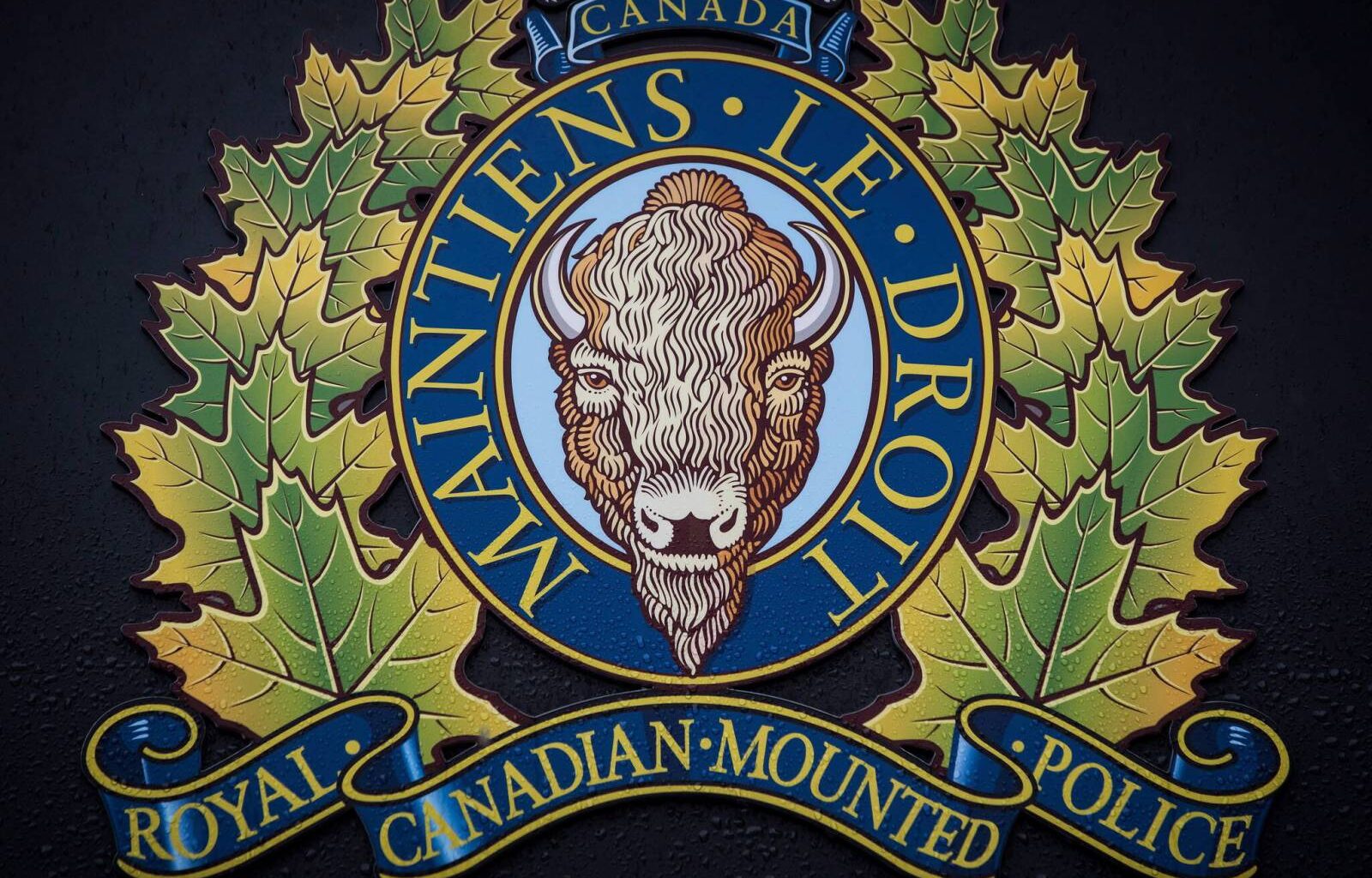Winnipeg man charged with uttering death threats to PM facing new charges – Winnipeg Free Press