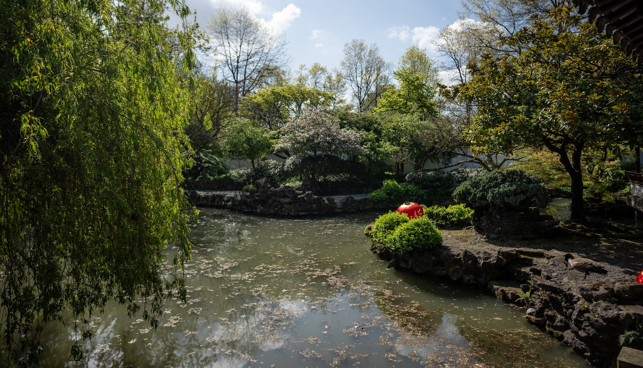 A large pond is seen on a sunny day.