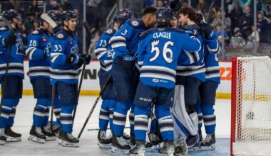 Moose leave it till late, but stay alive – Winnipeg Free Press