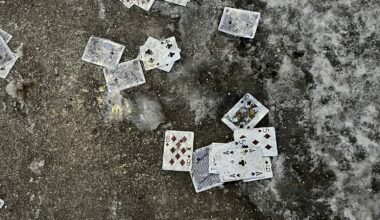 Reading the tea leaves of trash – Winnipeg Free Press