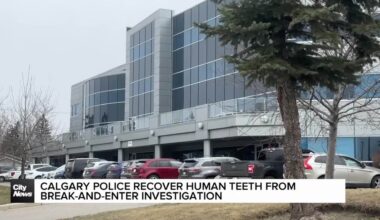 Calgary Police recover human teeth from break-and-enter investigation