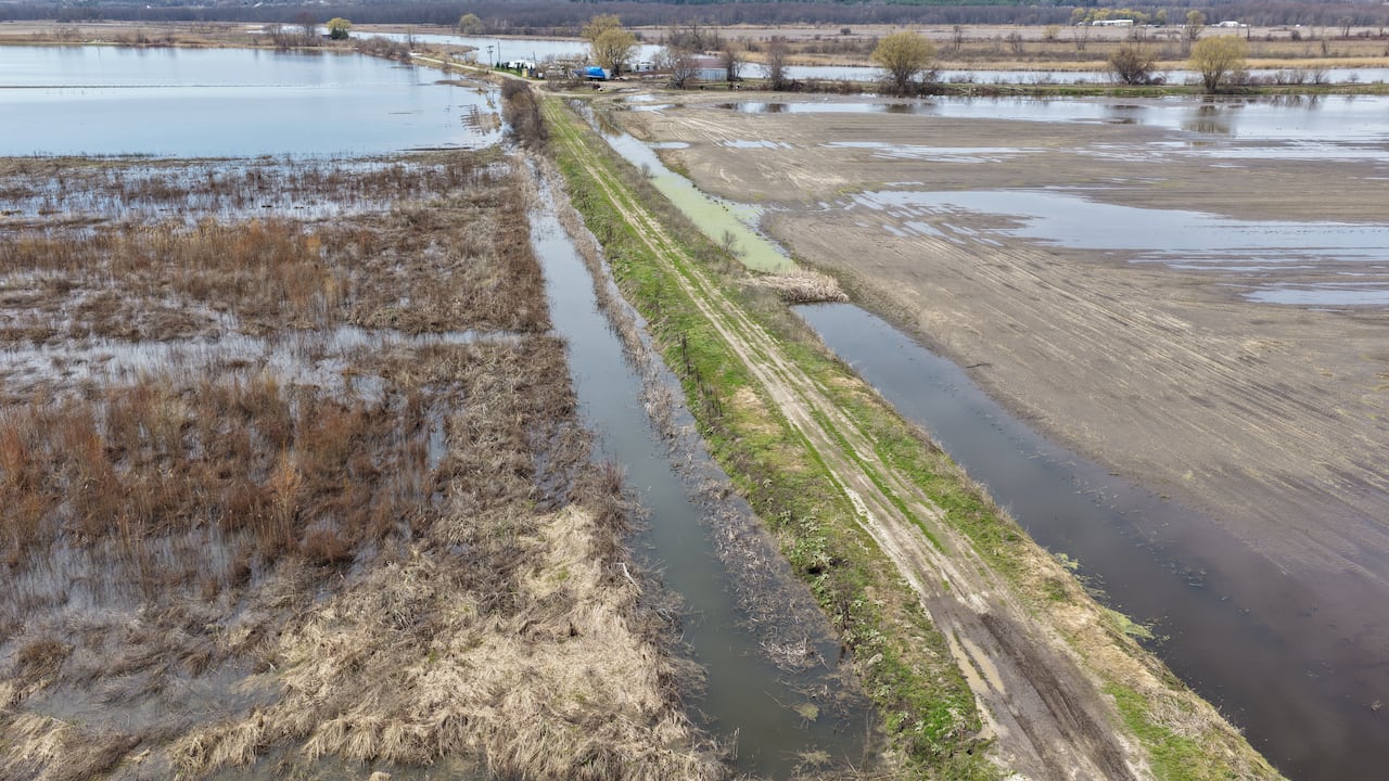 A drone image shows farmland that is swampy, with water on the other side of a dike meant to keep it out.
