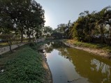Ultra-wide camera: Pixel 9a (14mm, f/2.2, ISO 48, 1/4016s, 4000x3000px)