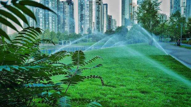 Metro Vancouver to ban lawn watering amid early Stage 2 water restrictions