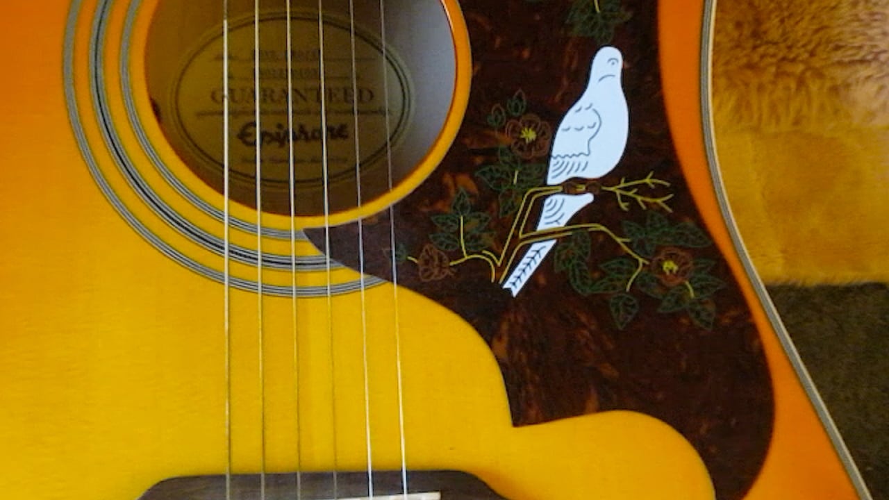 A guitar with a little swallow bird on it.