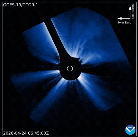 J79pg33365kmtbnzg5bqfh