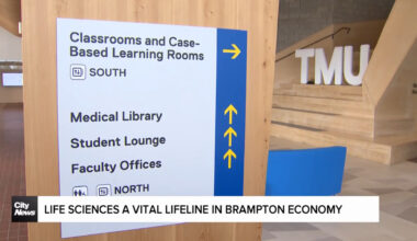 Brampton aims to expand in lifesciences with wet lab