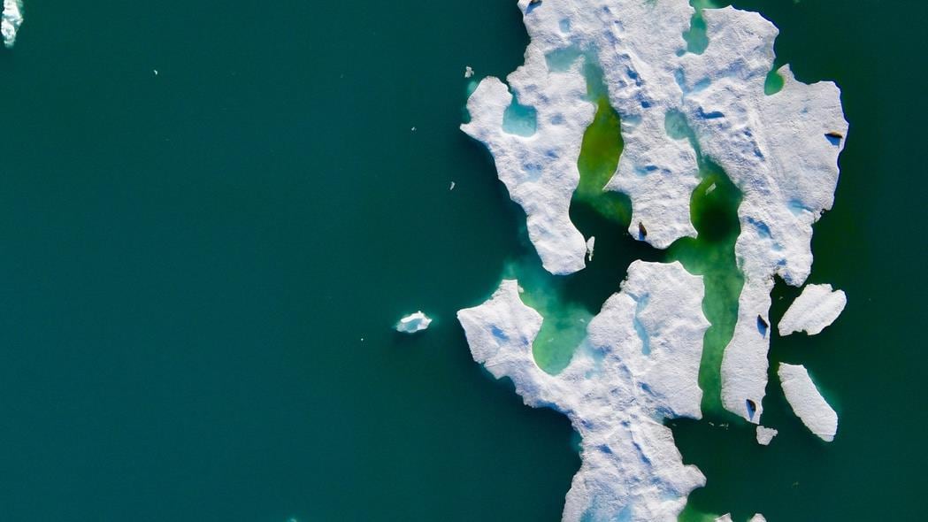 An aerial view of ringed seals on sea ice.