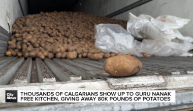 Thousands of Calgarians show up to Guru Nanak Free Kitchen, giving away 80 thousand pounds of potatoes