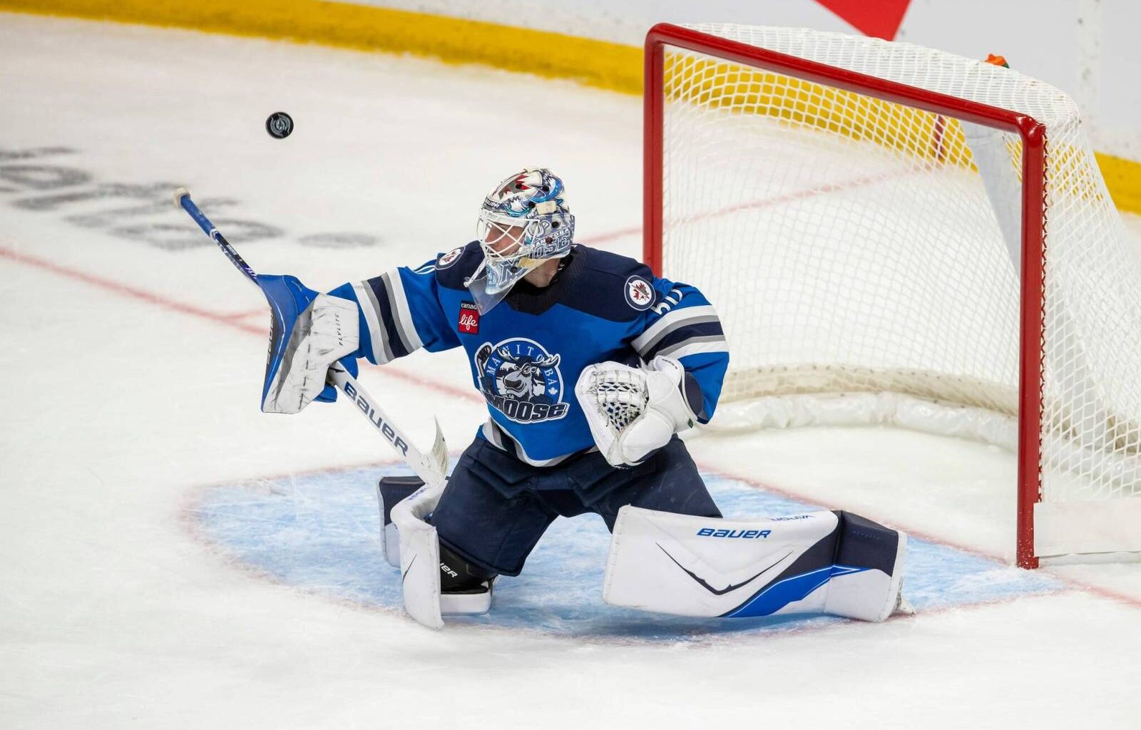 DiVincentiis steps up in Moose playoff victories – Winnipeg Free Press